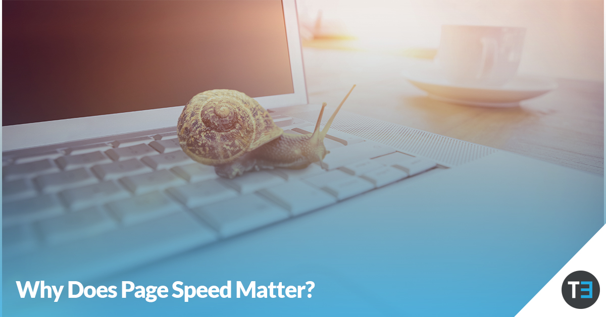 Snail on laptop working on page speed