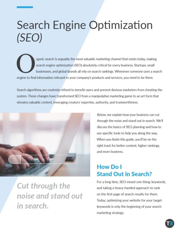 SEO Essentials for Small Business