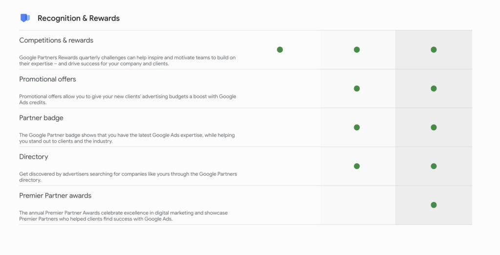 Screenshot of Google Premier Partner benefits, including Recognition & Rewards | Twelve Three Media
