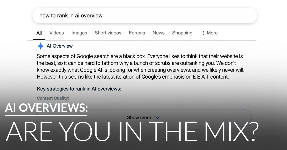 AI overviews: Are you in the mix? | Twelve Three Media